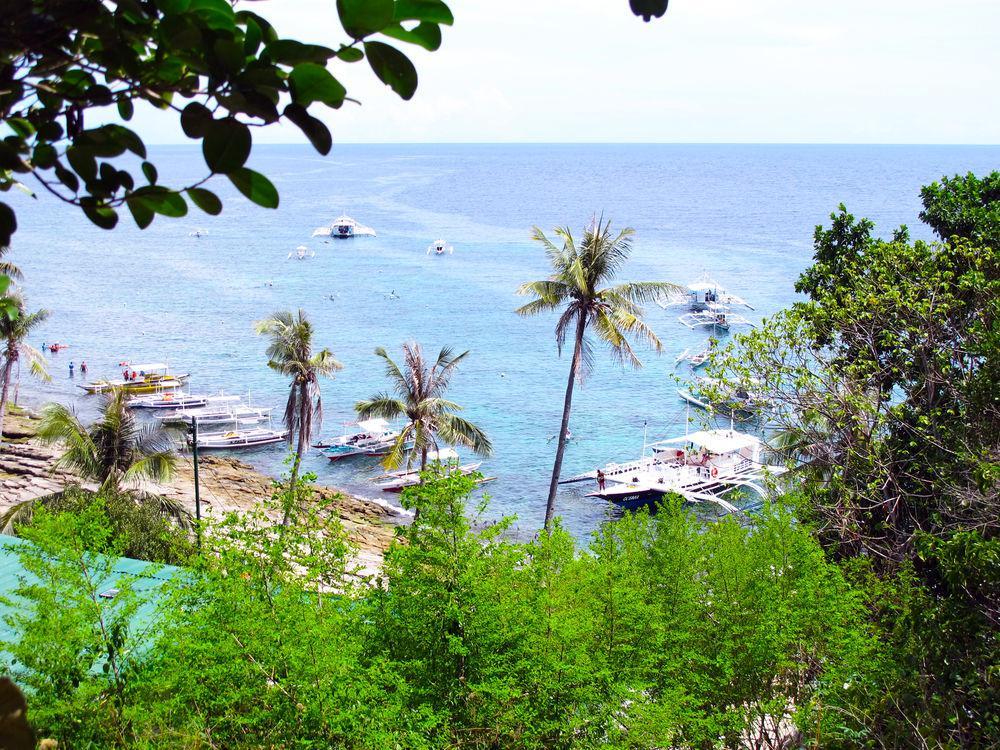 Acqua Dive Bed & Breakfast Zamboanguita  Luaran gambar