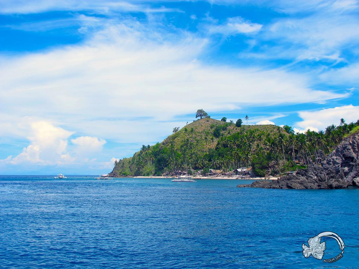 Acqua Dive Bed & Breakfast Zamboanguita  Luaran gambar