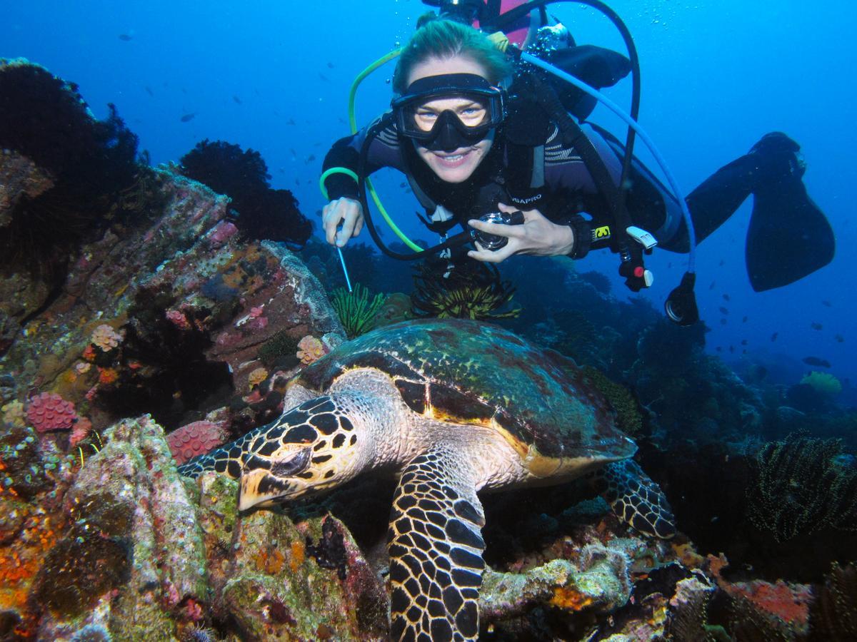 Acqua Dive Bed & Breakfast Zamboanguita  Luaran gambar