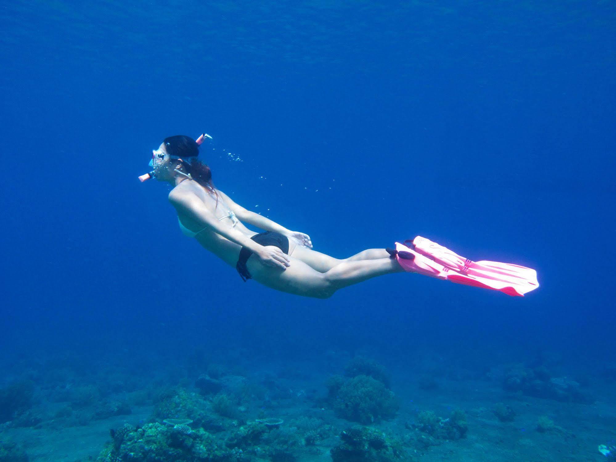 Acqua Dive Bed & Breakfast Zamboanguita  Luaran gambar